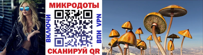 Галлюциногенные грибы Psilocybine cubensis  блэк спрут зеркало  Нарьян-Мар  закладка 