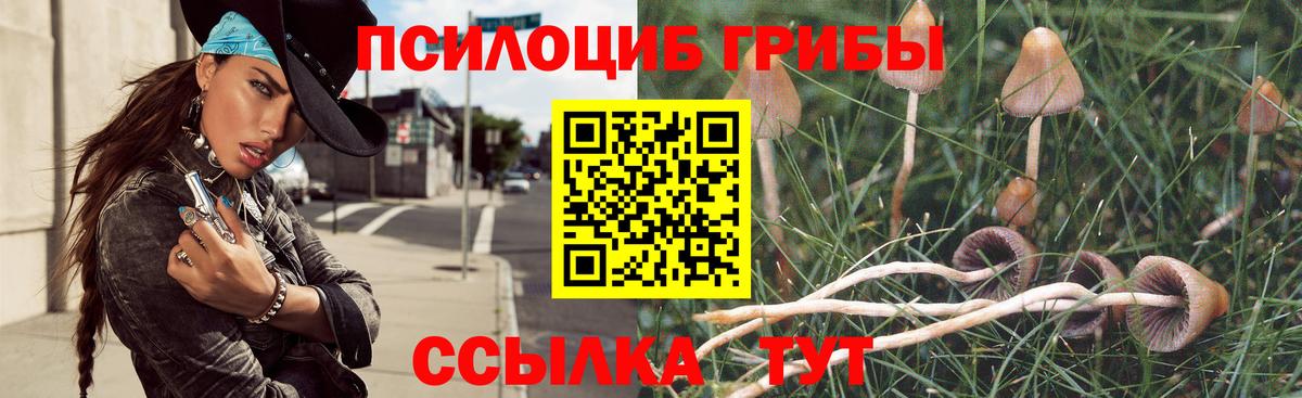 Галлюциногенные грибы прущие грибы Нарьян-Мар